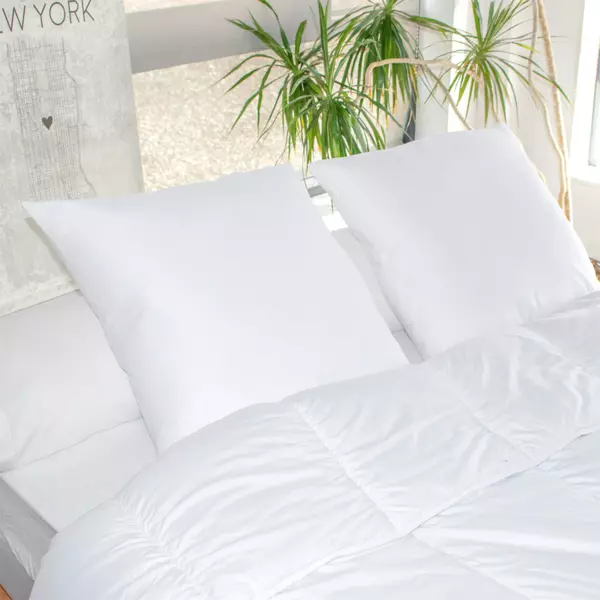 Lote de 2 almohadas cuadradas (60 cm) Transpirante Blanco