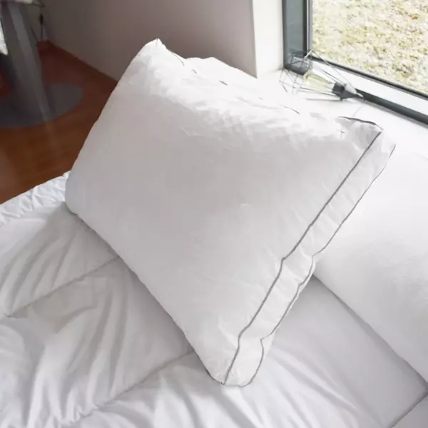 Hoofdkussen rechthoekig Sensation Duvet Wit