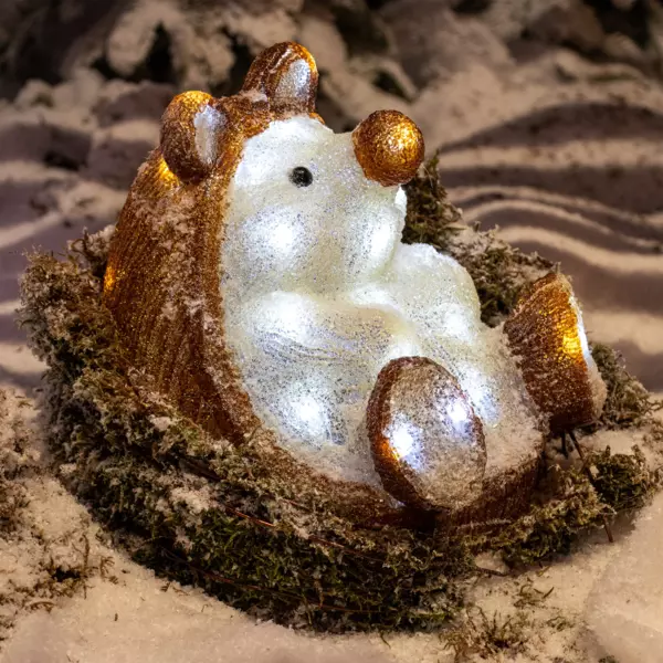 Riccio luminoso Emile Bianco freddo 30 LED