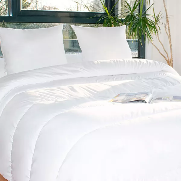 Set Warme anti-mijt dekbed (280 x 240 cm) + 2 Kussens (60 x 60 cm) Witte Komeet