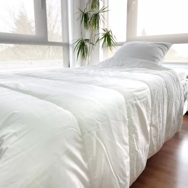 Lot Couette chaude anti-acariens (140 x 200 cm) + 1 Oreiller (60 x 60 cm) Com�te Blanche