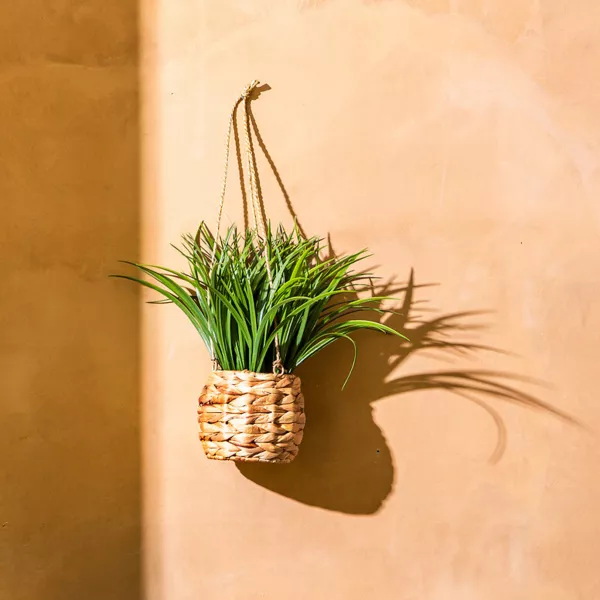 Planta artificial colgante en maceta trenzada (H27 cm) Moda Costa