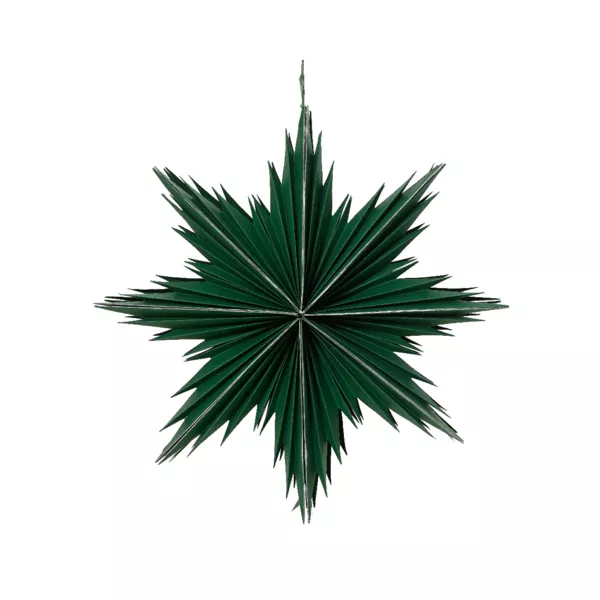 Addobbi natalizi sospesi in carta (D30 cm) Stella ghiacciata Verde rosmarino