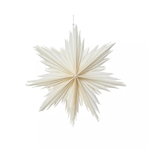 Decorazione natalizia sospesa in carta (D30 cm) Stella ghiacciata Bianca
