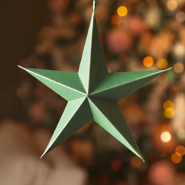 Set di 4 pendenti in carta (D15 cm) Astre de Papier Verde rosmarino