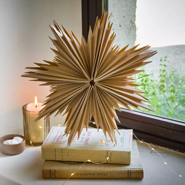 Suspensi�n de Navidad en papel (D30 cm) Estrella helada Natural