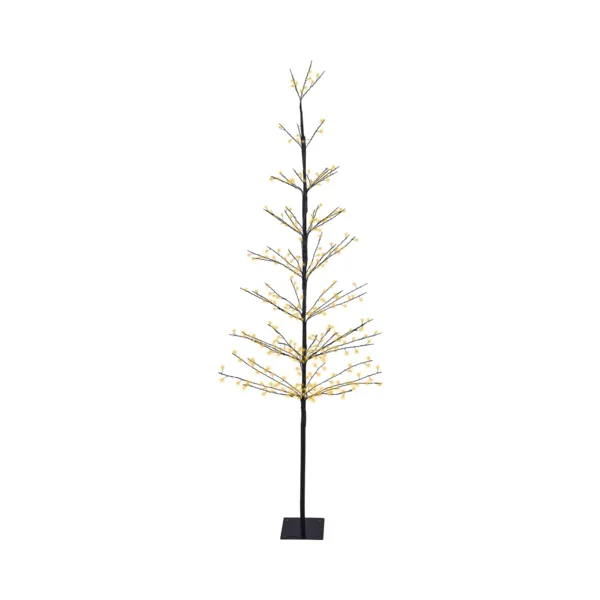 Albero luminoso 360 LED (H180 cm) Abete Boreale Bianco caldo champagne