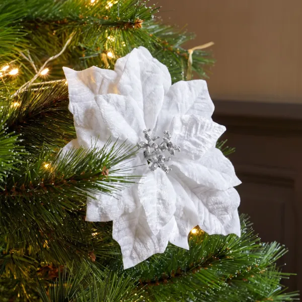 Weihnachtsstern Noelie auf Clip Wei�